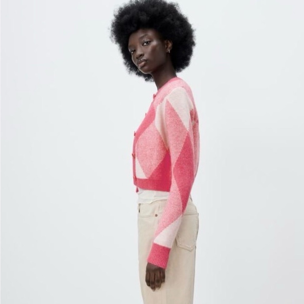 Zara Argyle Knit Sweater